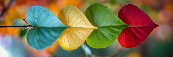 Nature6260 Profile Banner