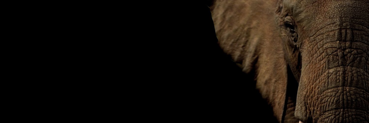 ClawPakistan's profile banner image
