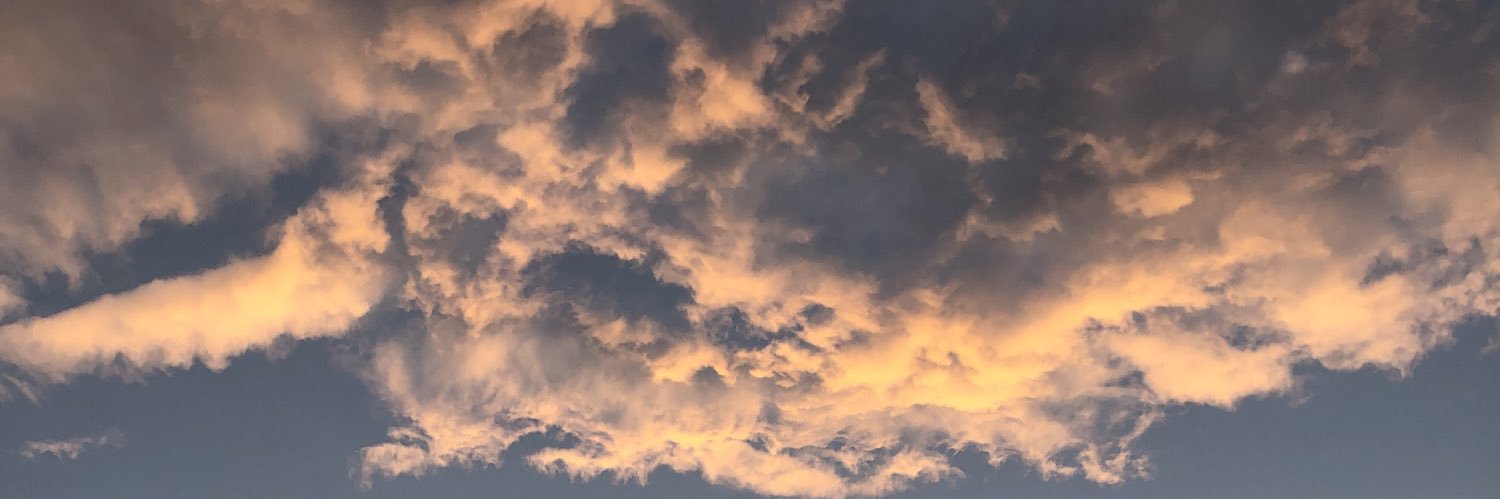 faaugalde's profile banner image