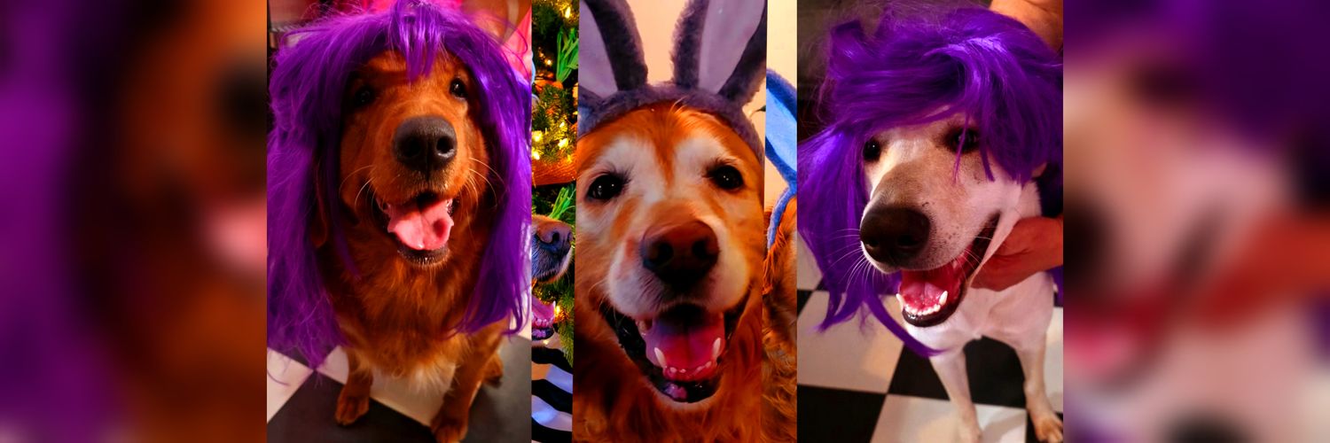 monicatsmtz's profile banner image