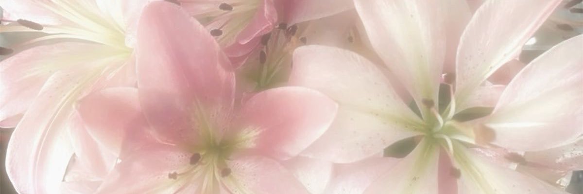 juni is seeing bea + itw ⋆˚꩜.ᐟ's banner