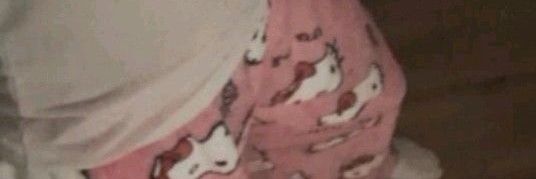 Dylan banner