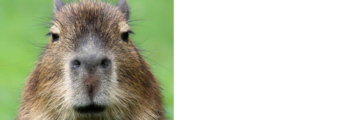 aro45305's profile banner image