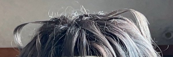 hattizu Profile Banner