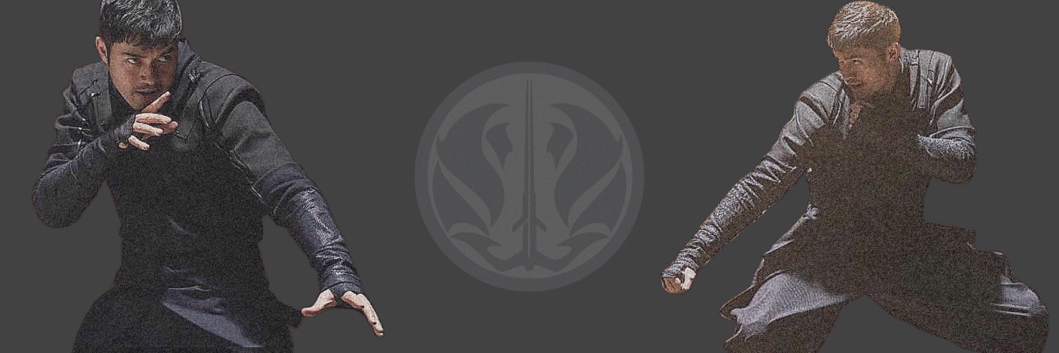 aburningforce's profile banner image