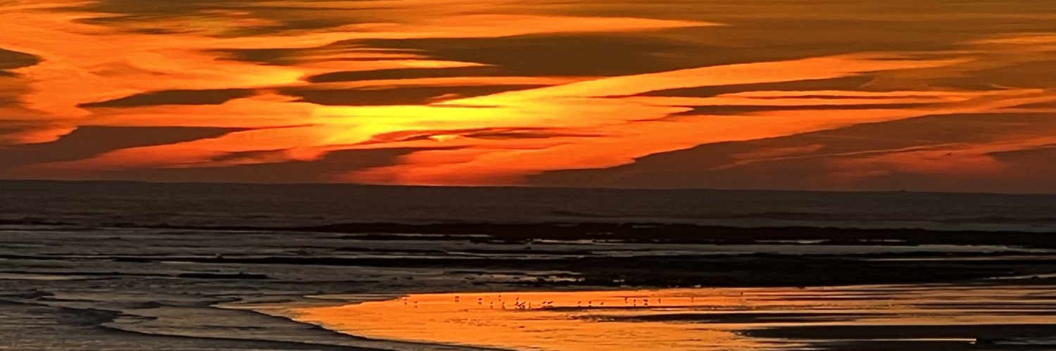 Tracy0905's profile banner image