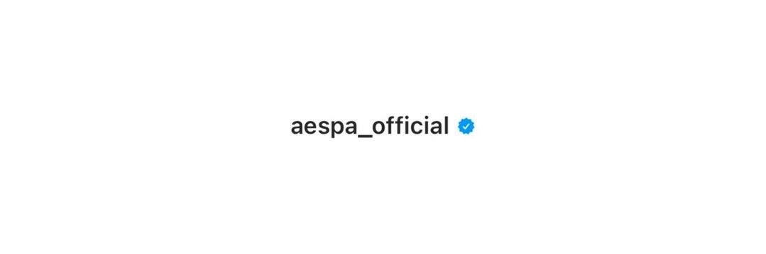 aespavbs's profile banner image