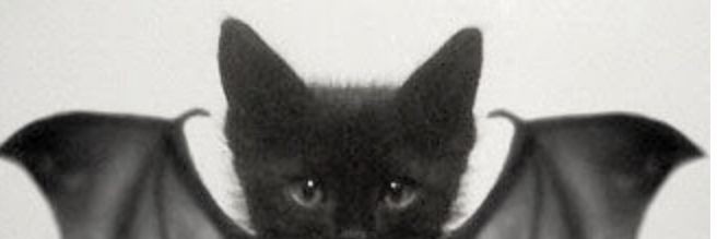 Promiscuoshh's profile banner image