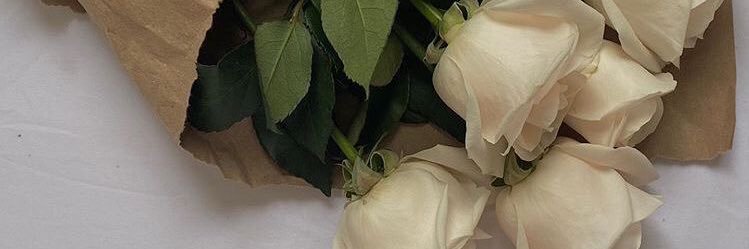 fiorelalejandr's profile banner image