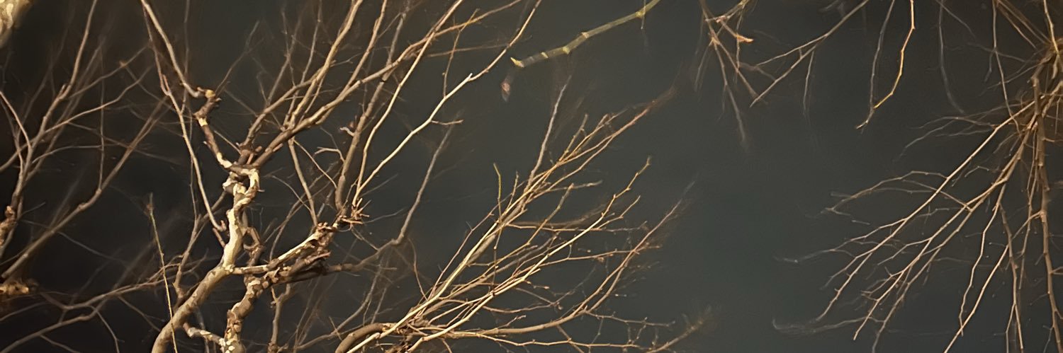 muhtar4310's profile banner image
