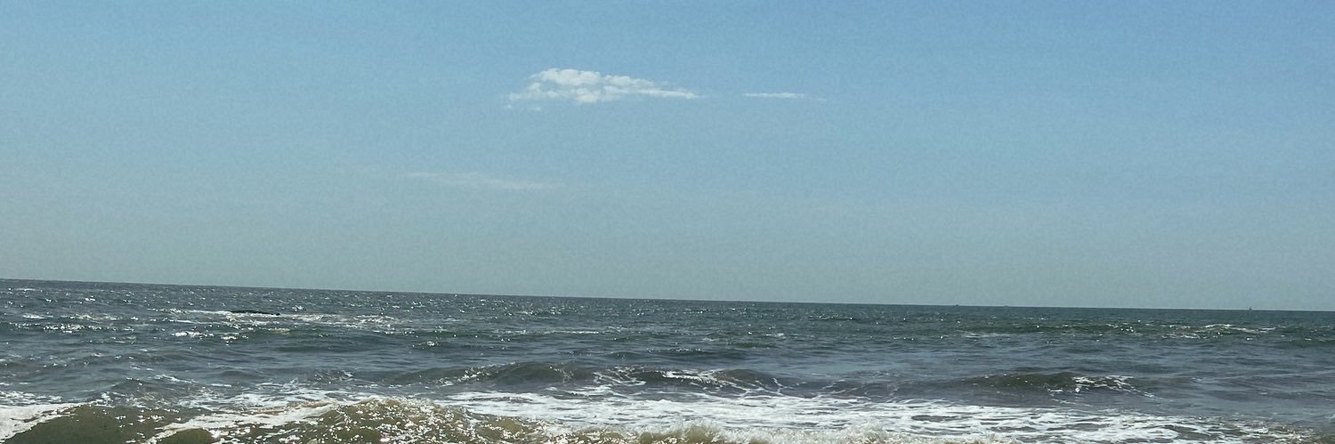 pam_hames's profile banner image