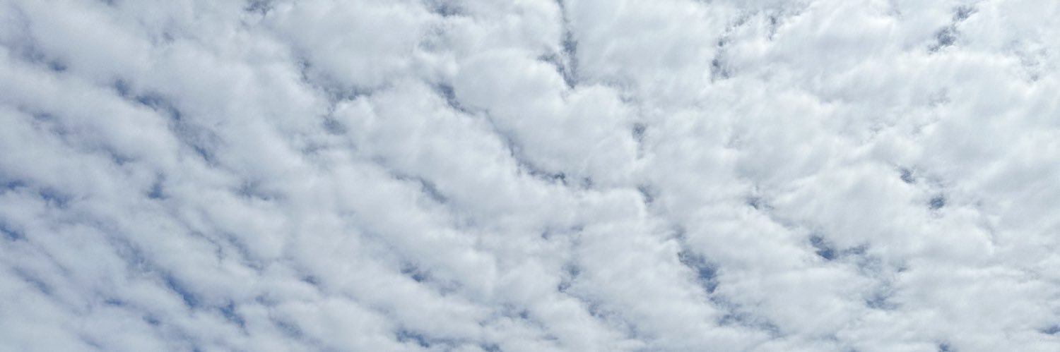 sfkdev's profile banner image