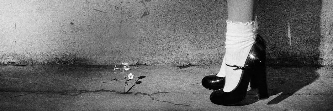 arilover4lifer's profile banner image