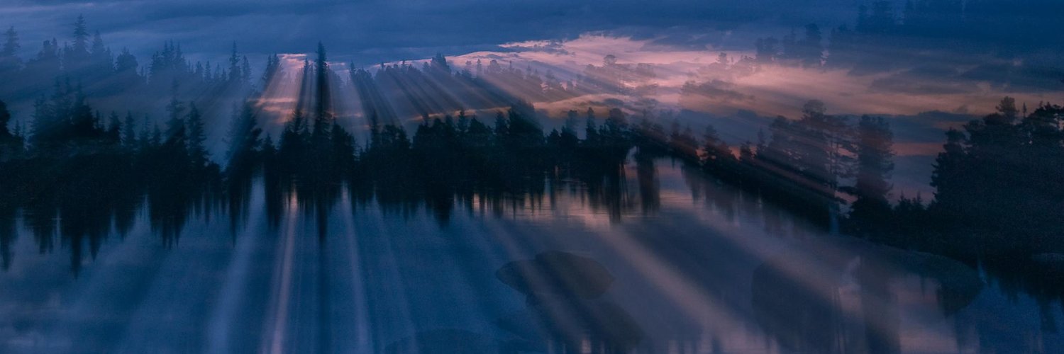 CoKamaaina's profile banner image