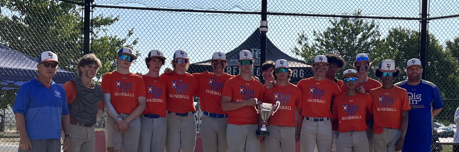 Dig In Baseball National Team 2026 banner