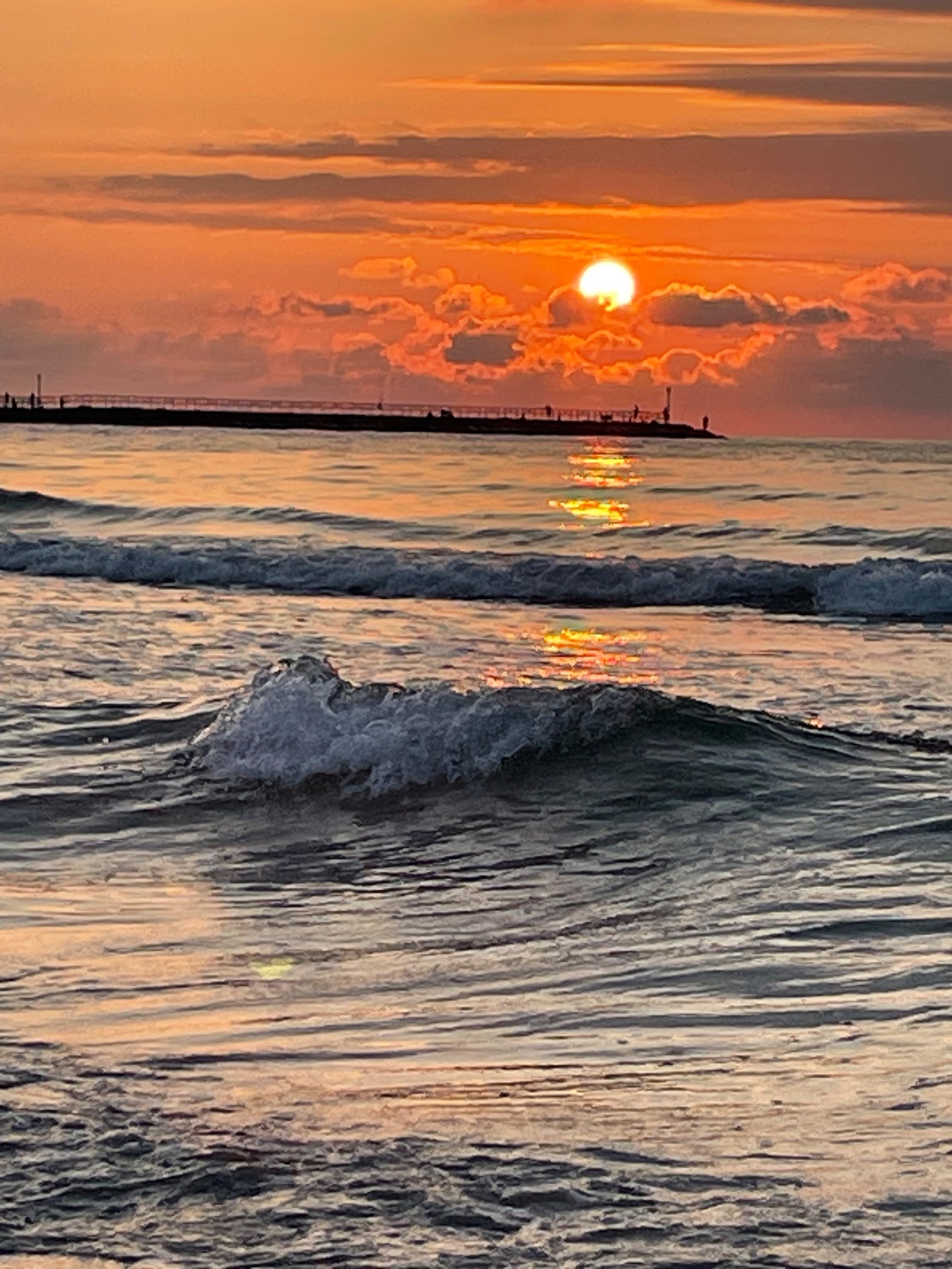 Glenda Collins banner