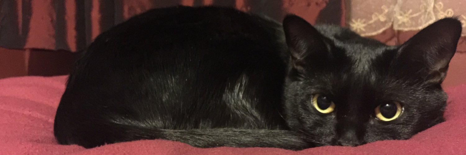 xibalbae's profile banner image