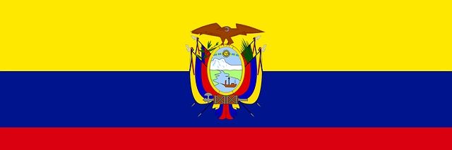 NaCho Zambrano banner