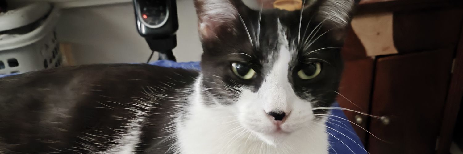 Cactoboi's profile banner image