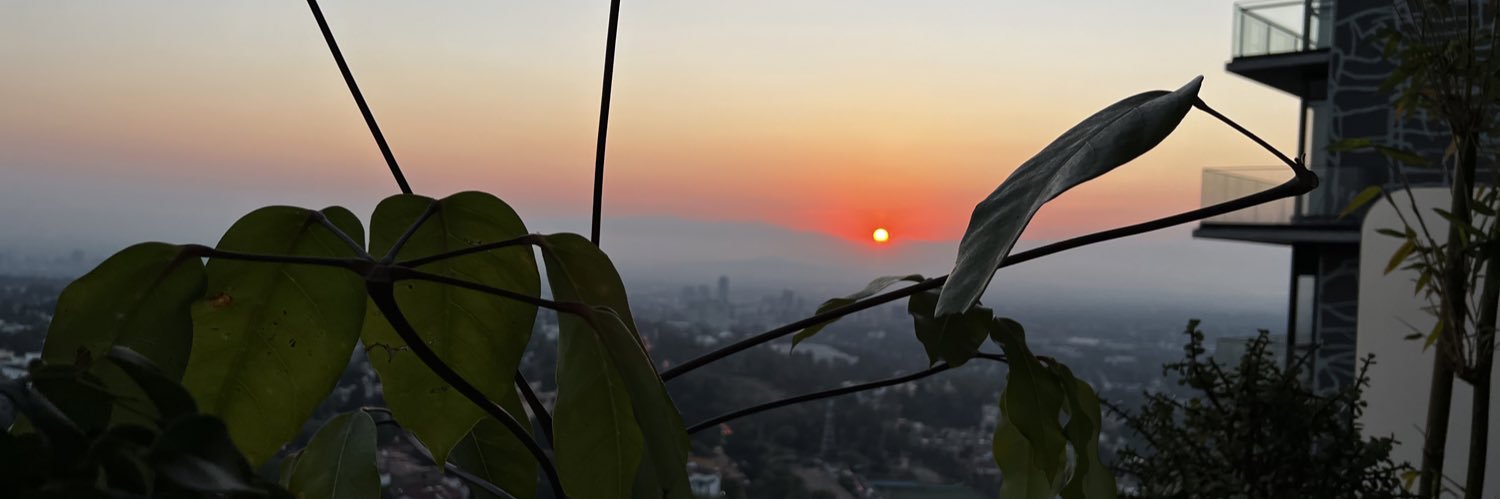 anmoar_'s profile banner image