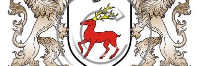 GARRETH MCCARTHY banner