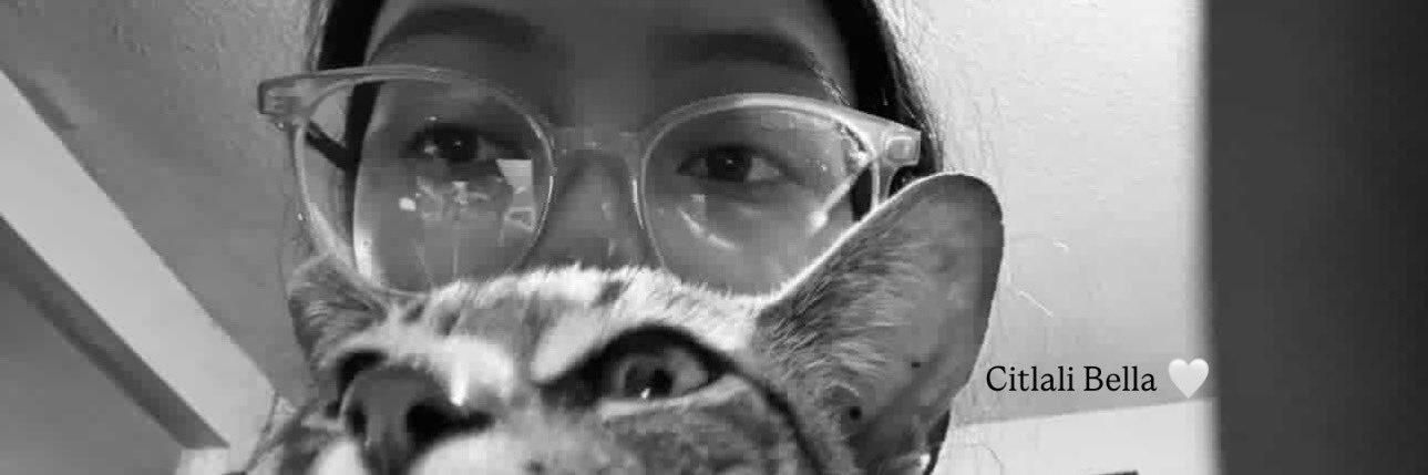 mayy_yyp's profile banner image