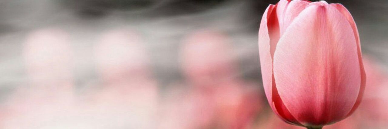 • banner