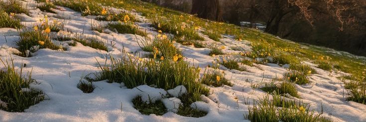 mari ♡ hhj 🍀 banner