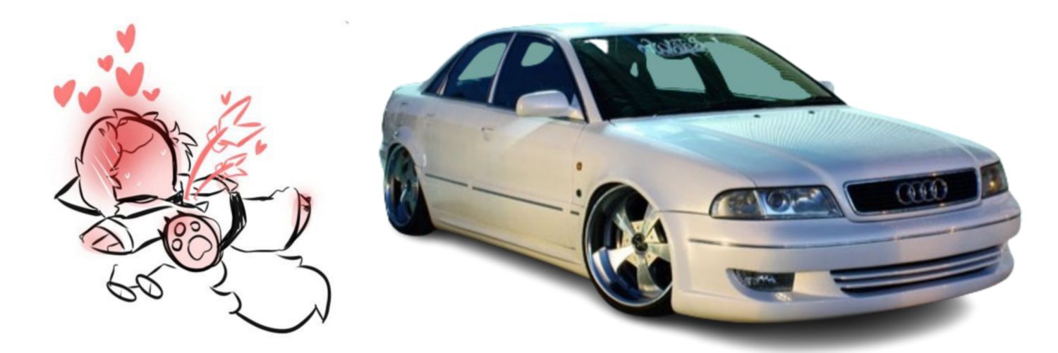 𝙋𝙤𝙡 ツ banner