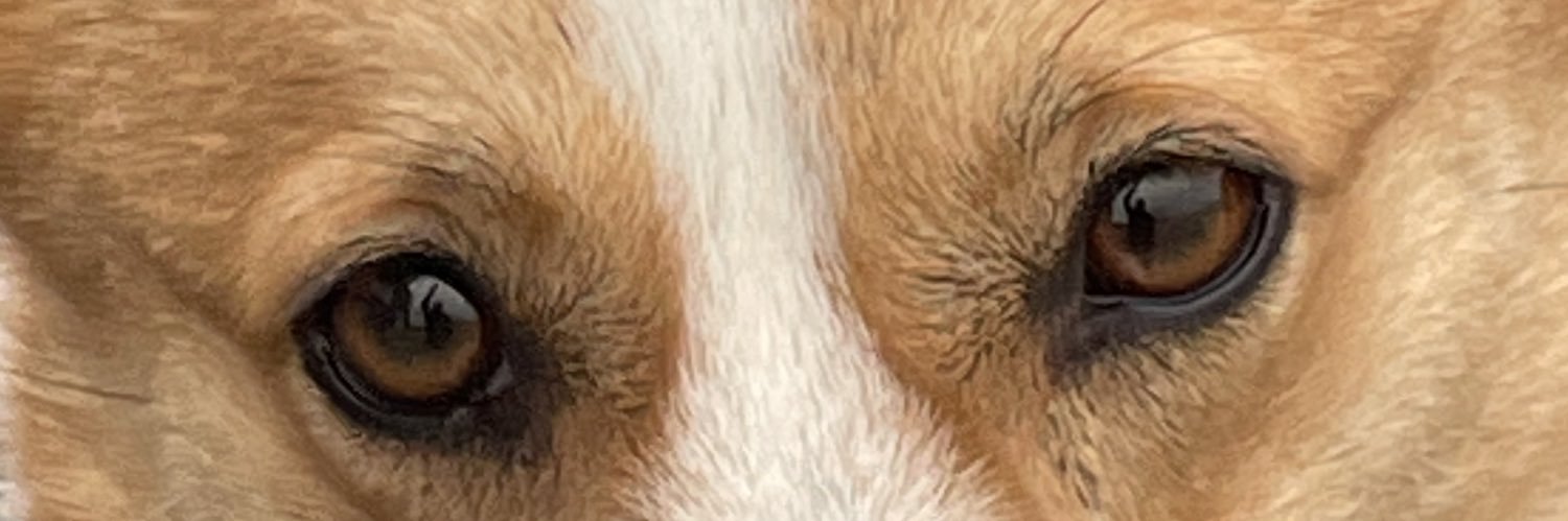 ~605~ ShittalkerFFS's banner