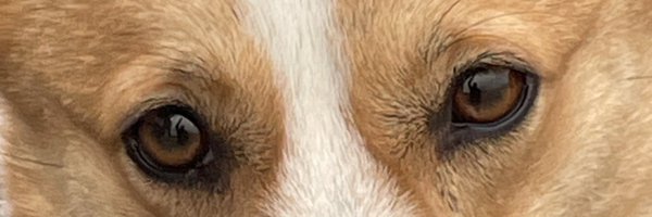 6Shittalkerffs Profile Banner