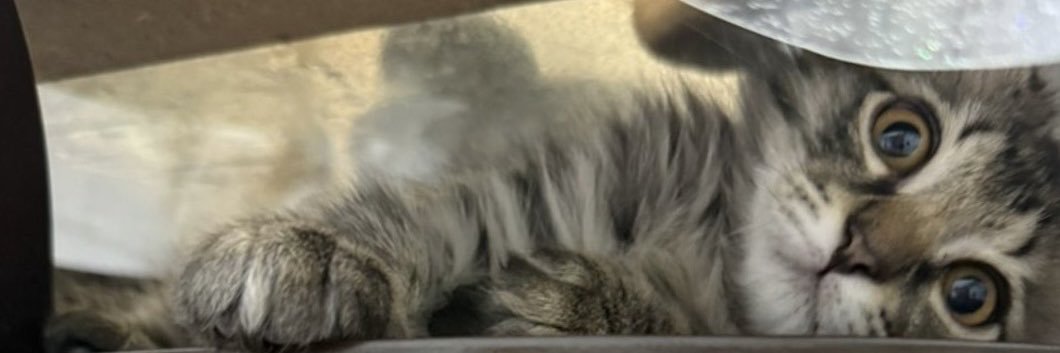 M banner