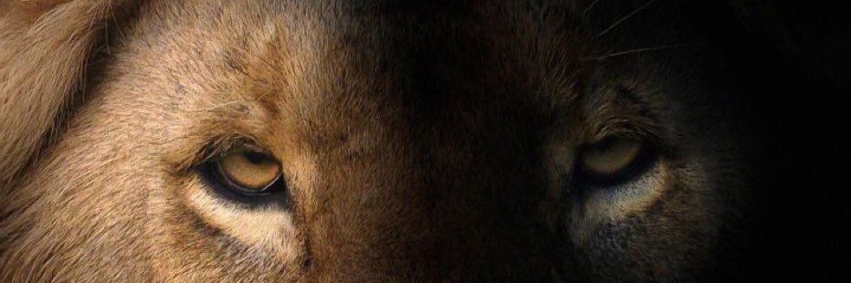 Jonatan Slider banner