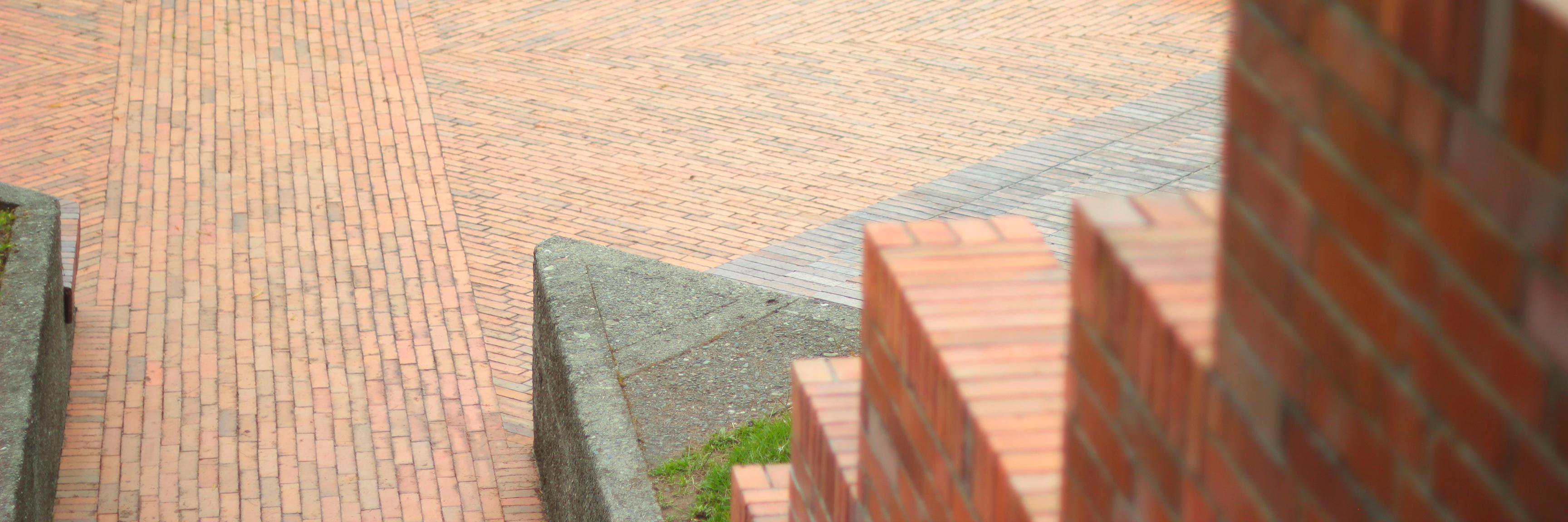 Rodrigo Ricárdez banner