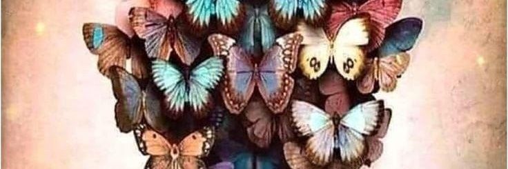 Ms_A_Venter's profile banner image