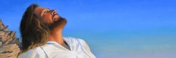 11Mancuso's profile banner image