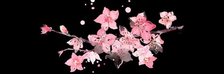 m3dtz's profile banner image