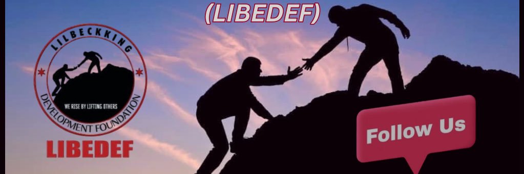 libedef's profile banner image