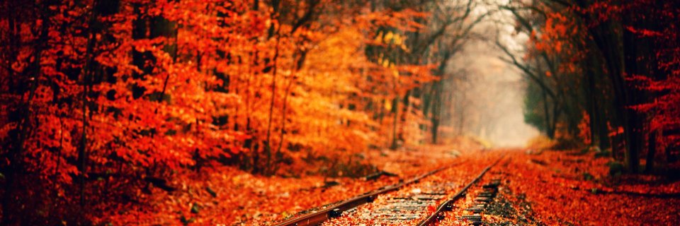 NelsonAgencyInc's profile banner image