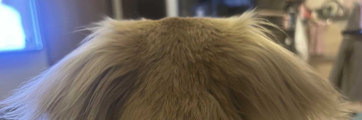 30cm's profile banner image