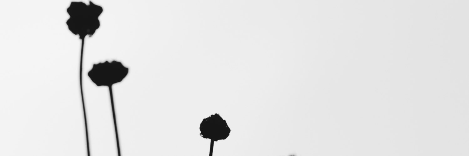 jamesjabs08's profile banner image