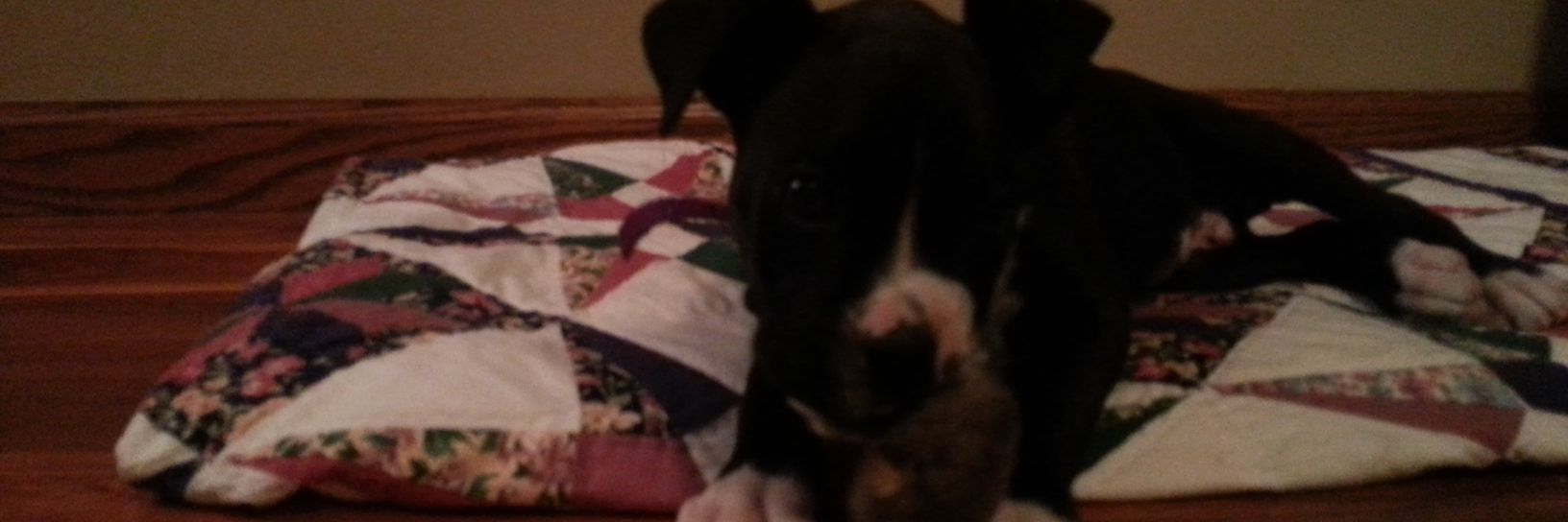 benthejamman64's profile banner image