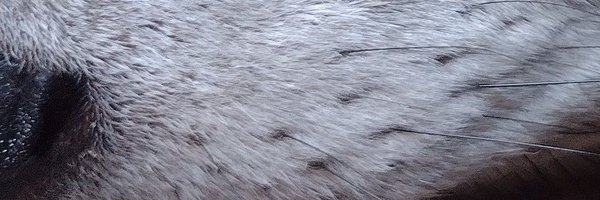 ce2puntos Profile Banner