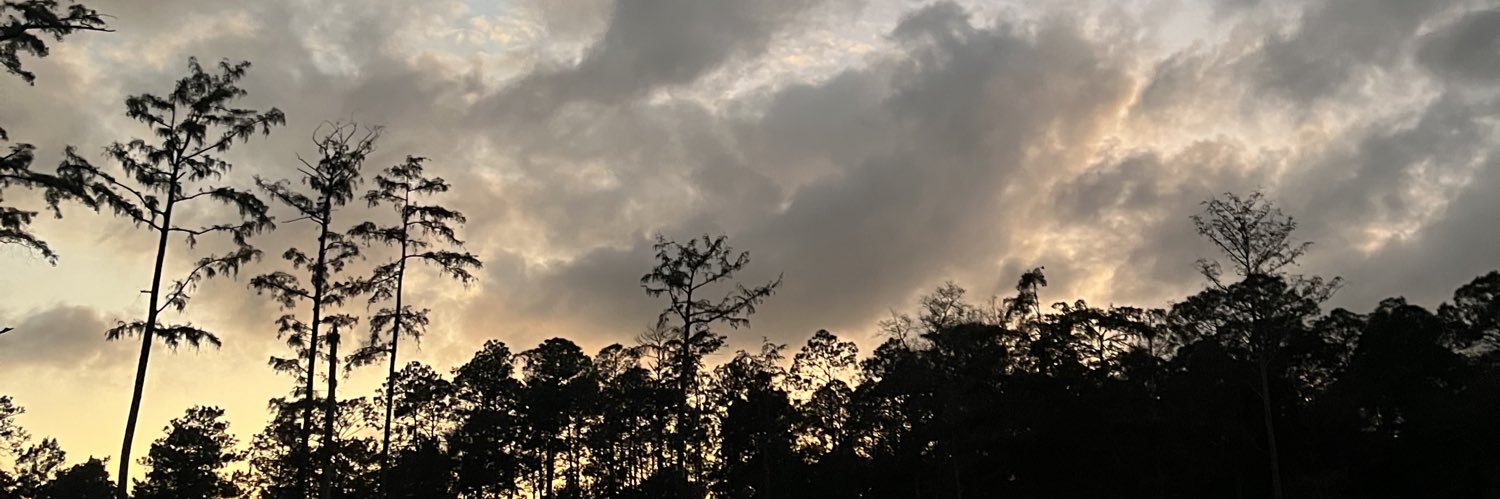 greendragons__'s profile banner image