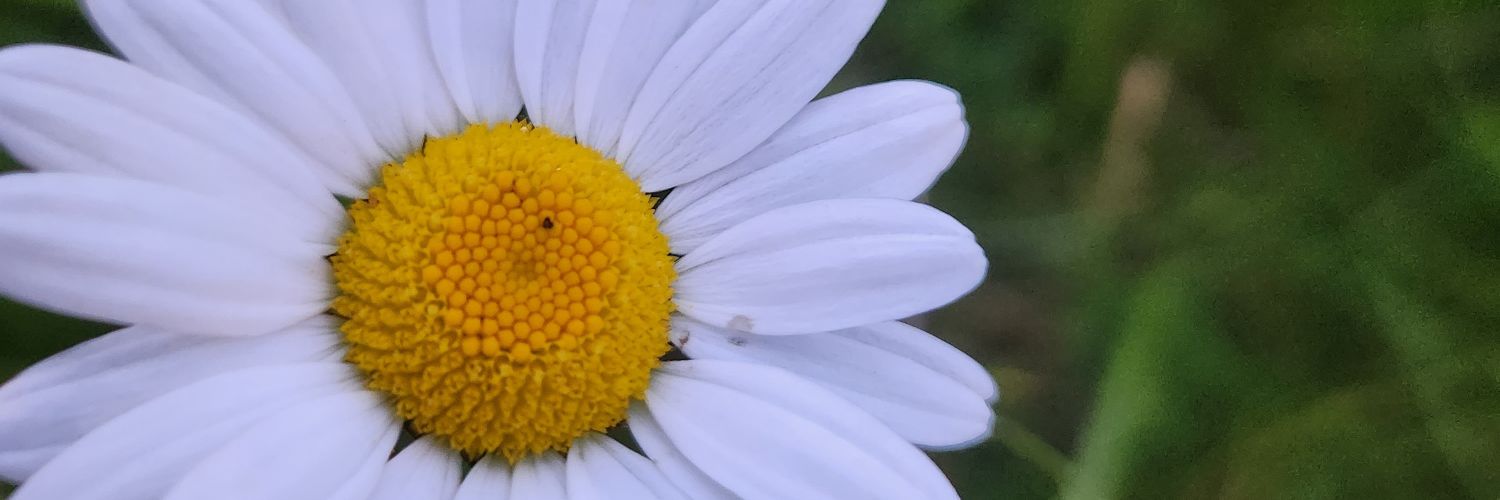 Lexx_q1's profile banner image
