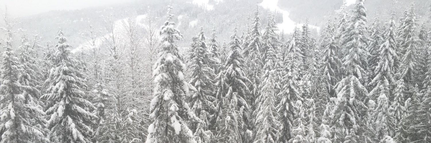 suz_e's profile banner image