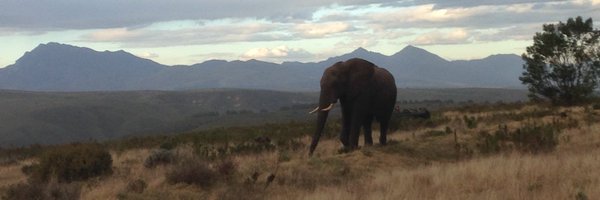 LDecrop Profile Banner