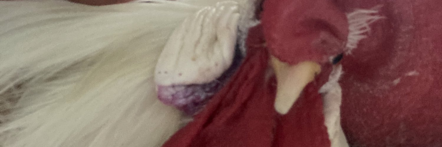 irmakfalan's profile banner image