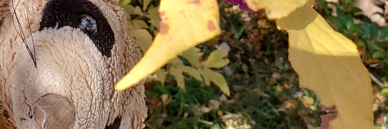 HKStashPanda's profile banner image