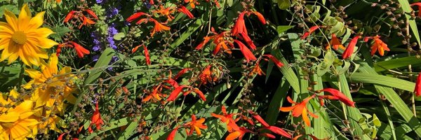 andiargast Profile Banner